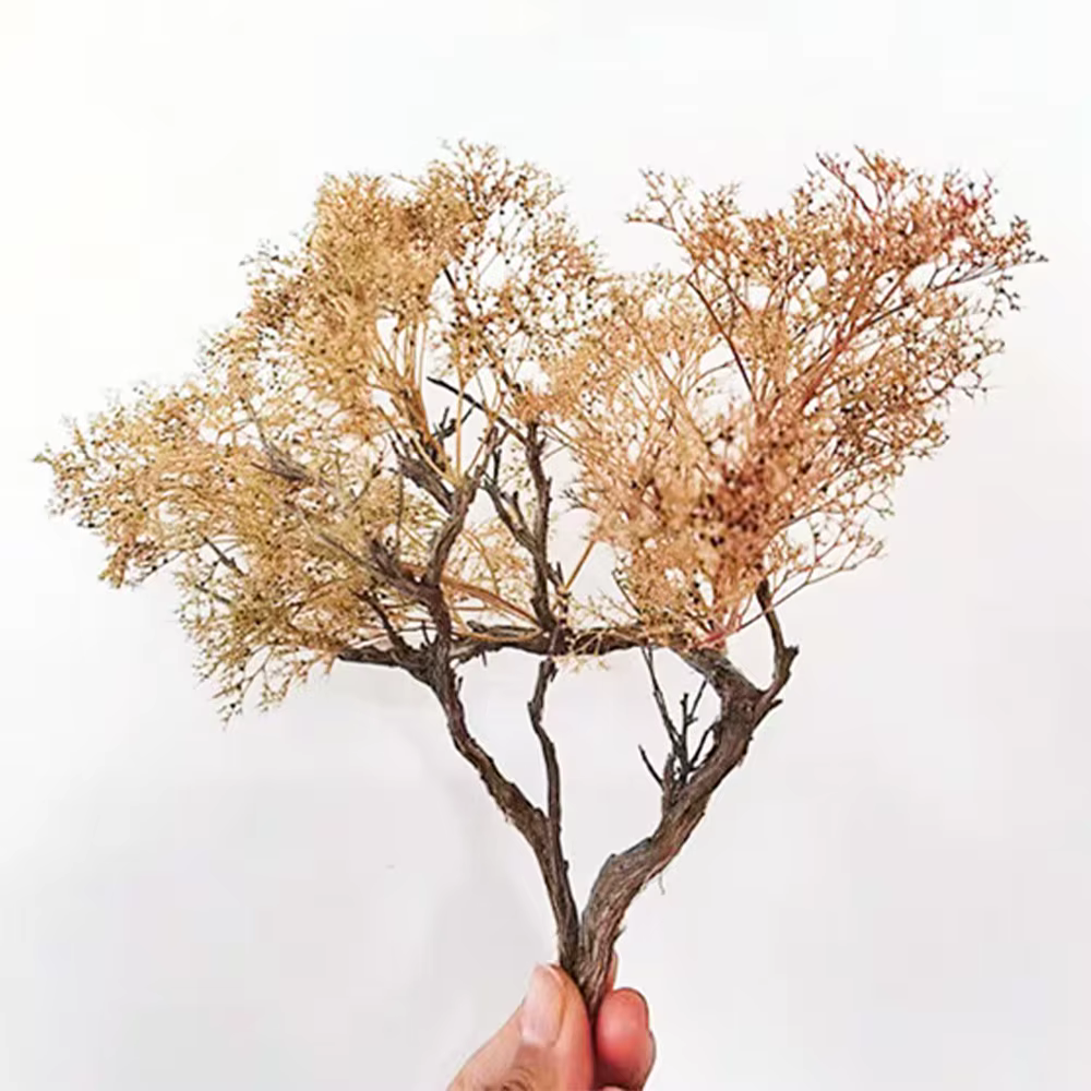 Arbres en mousse de mer