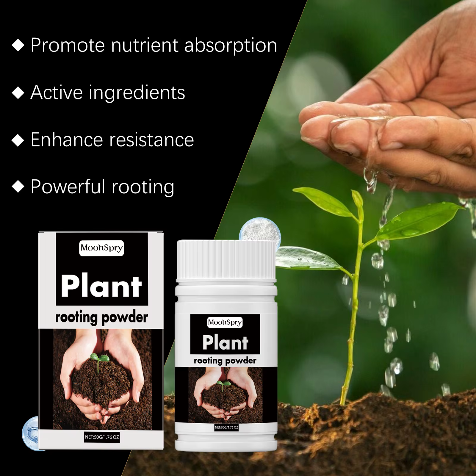 Poudre d'enracinement des plantes - Pour les boutures