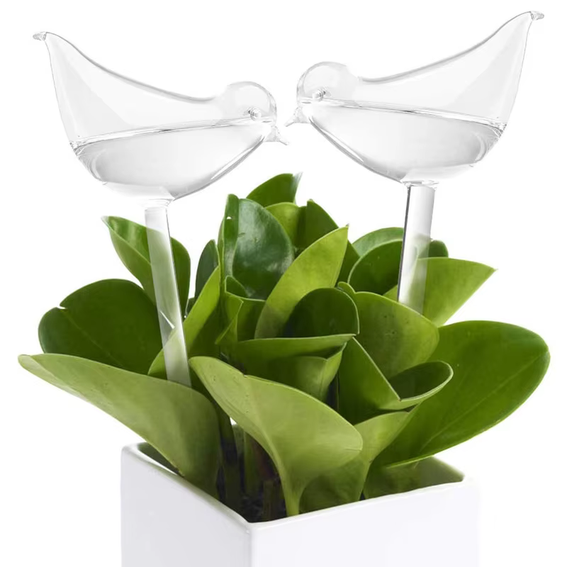 Ampoules d'arrosage automatique pour plantes