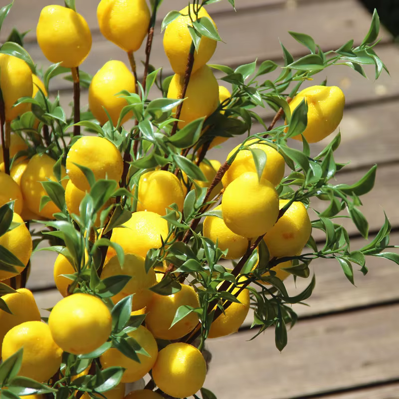 Branche de fruits de citron de luxe avec feuilles vertes