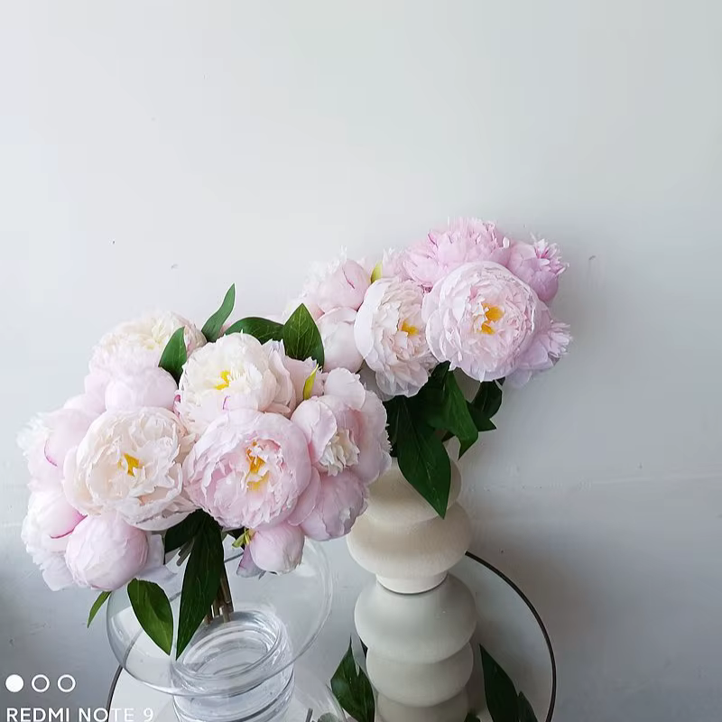 Lot de 6 fleurs de pivoine artificielles