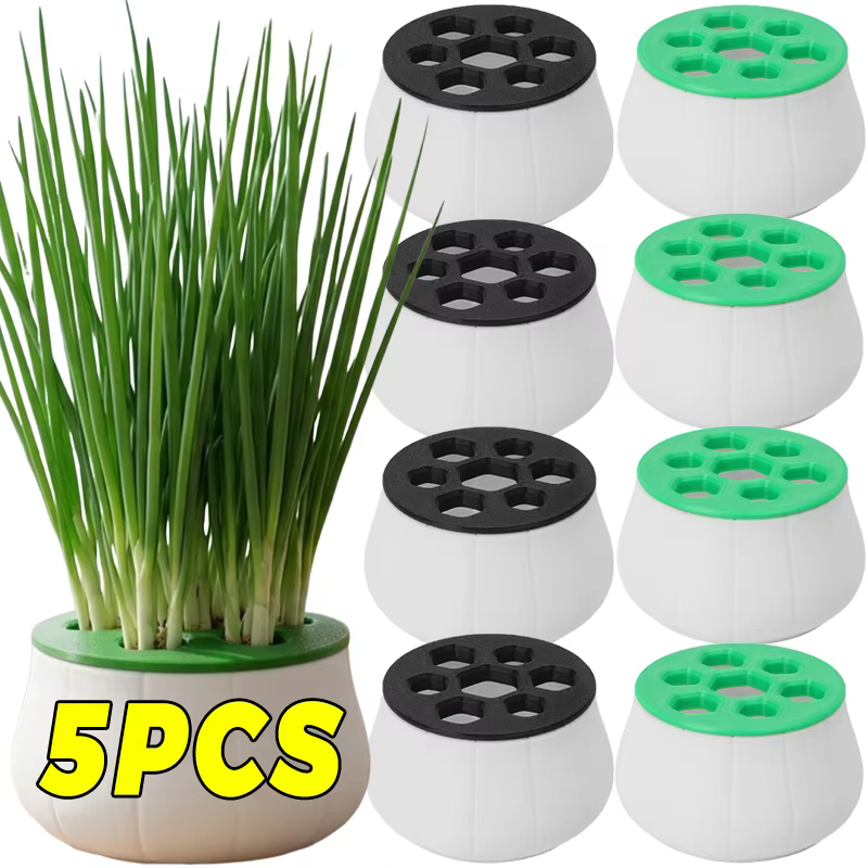 Kit de culture hydroponique réutilisable pour oignon vert