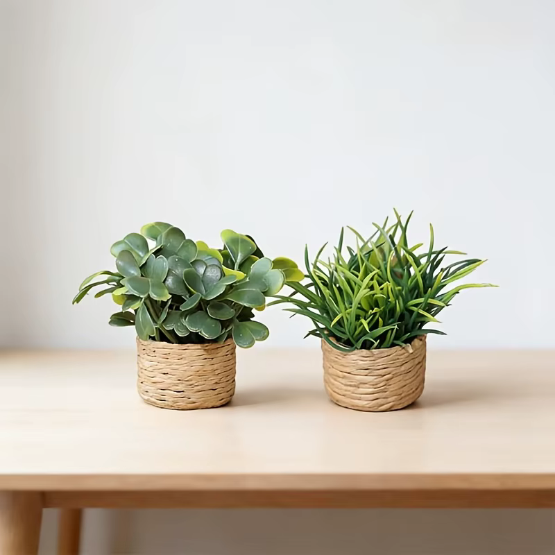 Plantes artificielles en pot, mini-plantes mignonnes en pot, paysage miniature adapté à l'intérieur, à l'extérieur, à la maison, à la cuisine, au bureau
