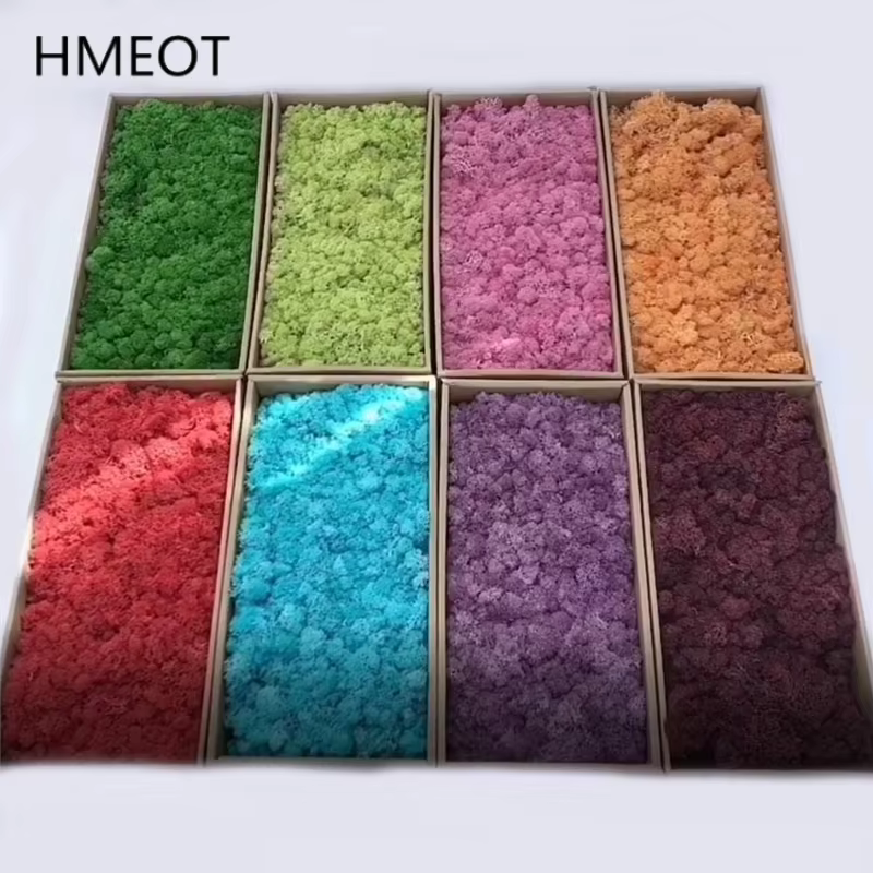 Nouveau 1000g plantes artificielles vie éternelle mousse/jardin décor à la maison mur bricolage fleur matériel Mini jardin Micro paysage faux mousse