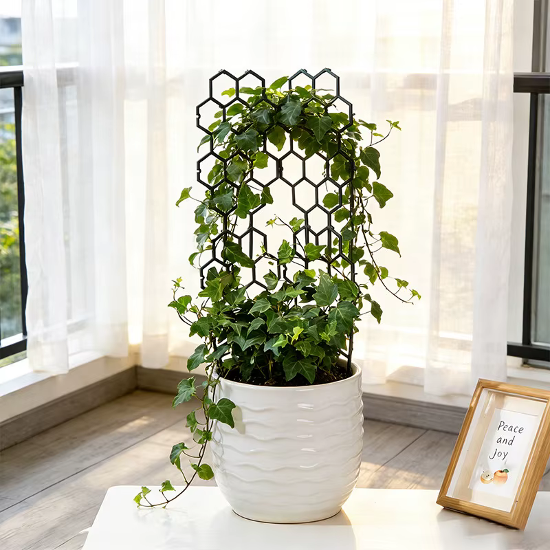Support pour Plantes Grimpantes pour Balcon