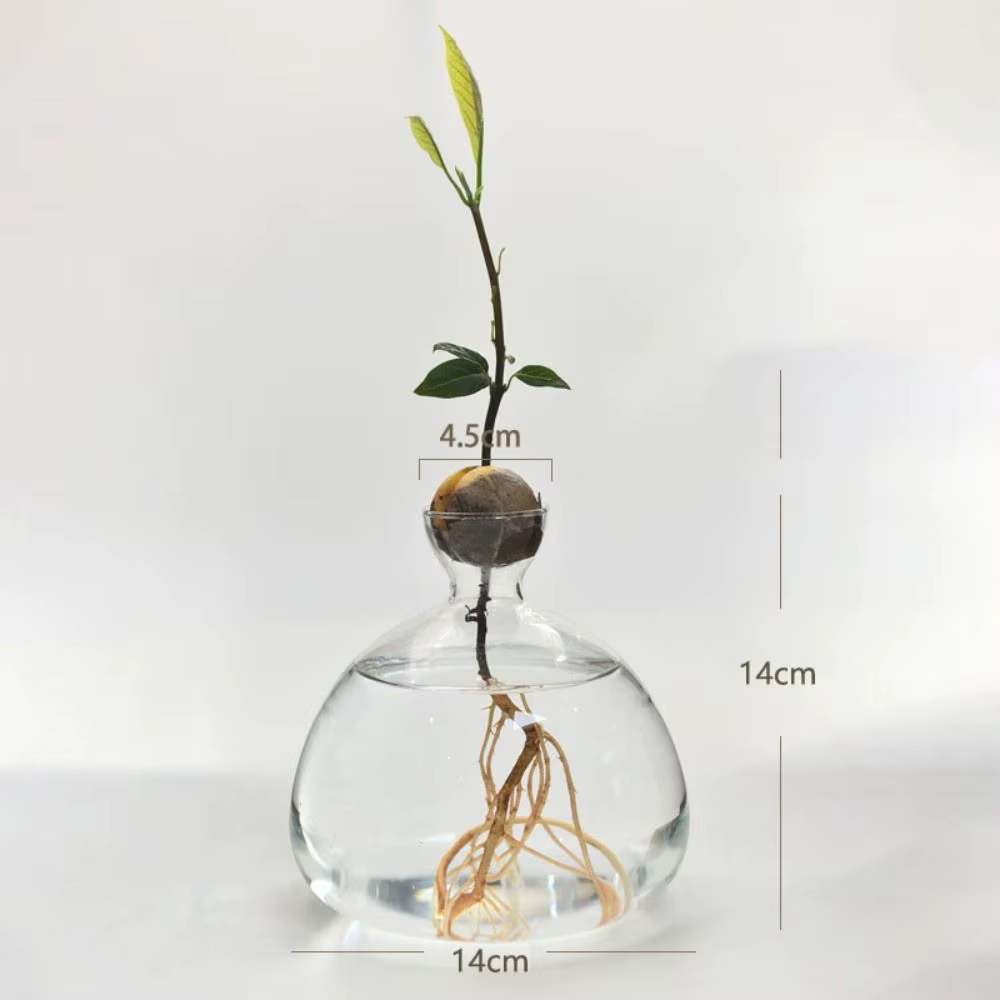 Kit de plantes en verre avec autocollants pour les amateurs de jardinage