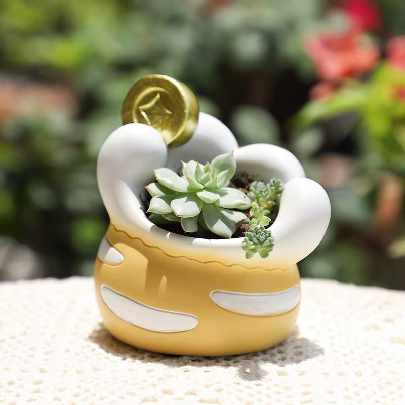 Pot de plantes succulentes en forme de patte de chat