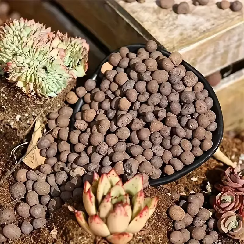 Boules d'argile médicamenteuses élargies hydroponiques de jardin