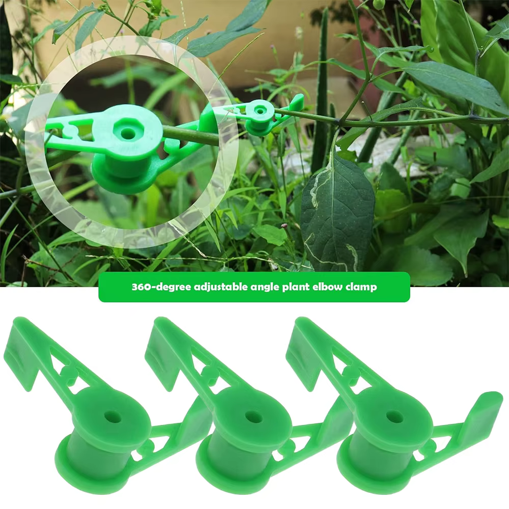 Clips d'entraînement pour cintreuse de Branches de plantes