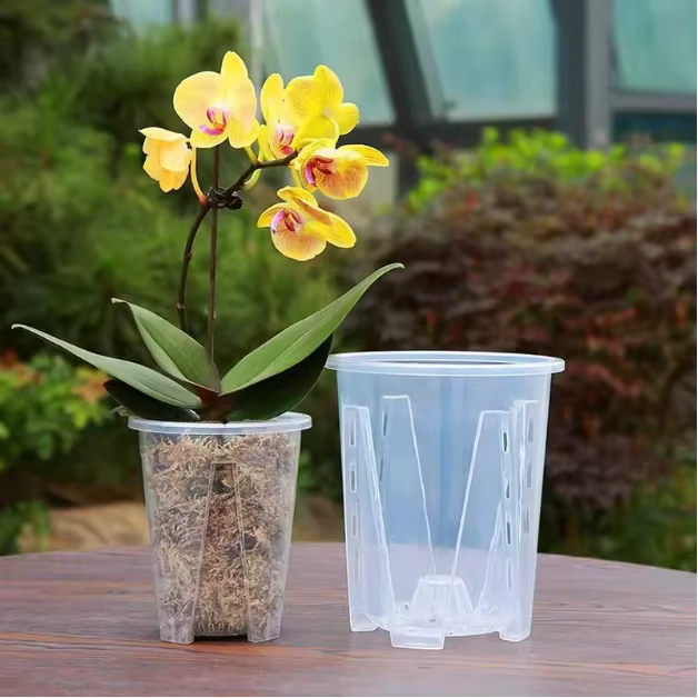 Pots d'orchidées avec stomates