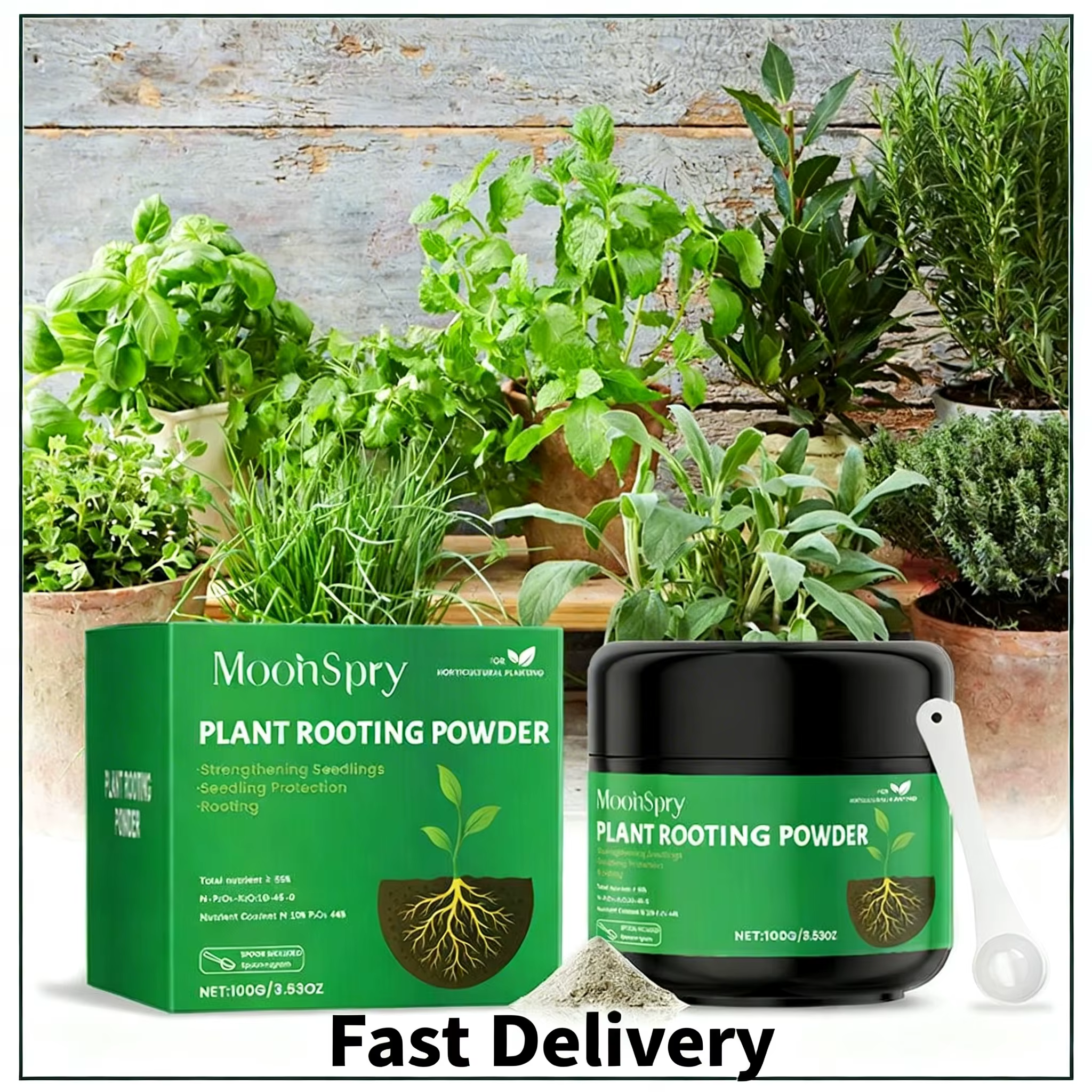 Poudre d'enracinement pour plantes