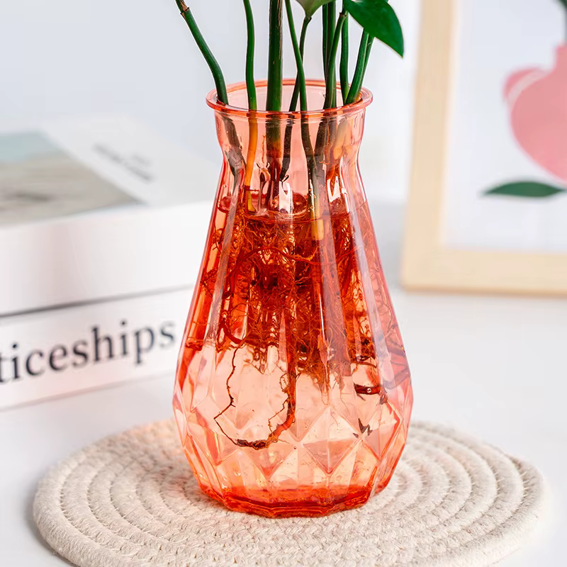 Vase hydroponique en plastique transparent pour plantes vertes