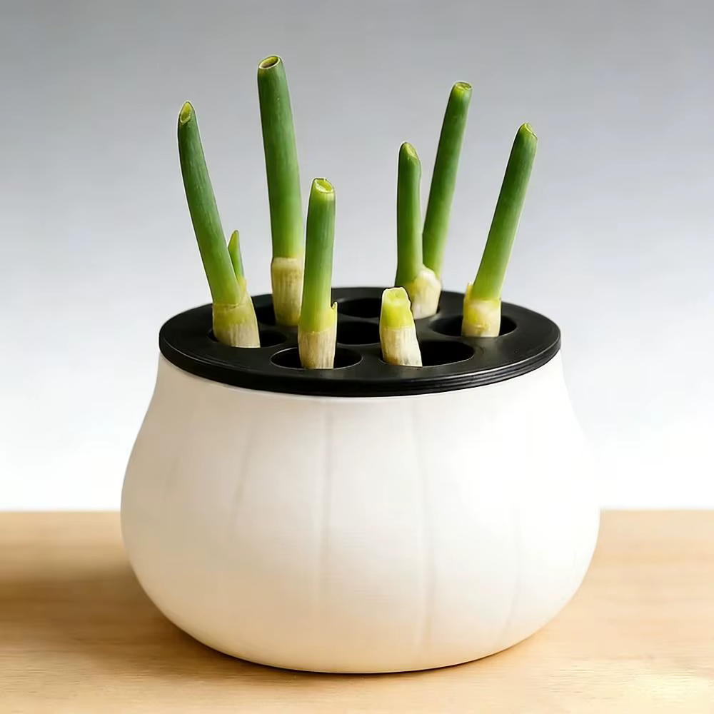 Jardinière à oignon vert à design peu encombrant