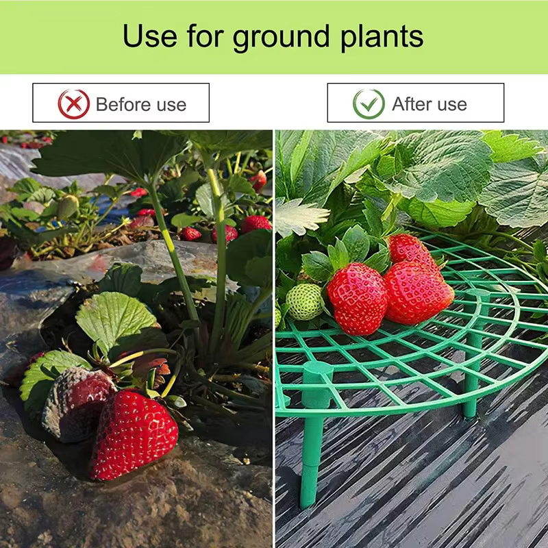 Support de plantes en maille anti-pourriture pour fraises