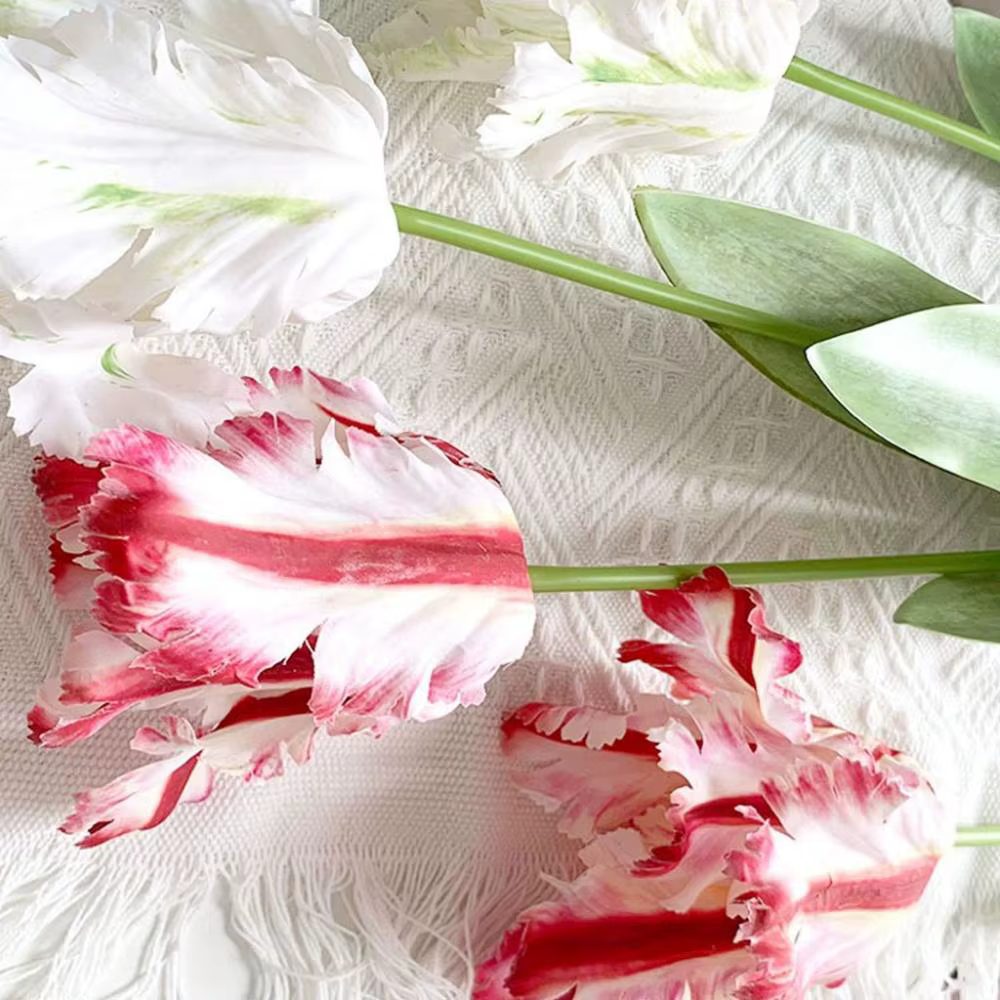 Fleur pour la maison, les fêtes