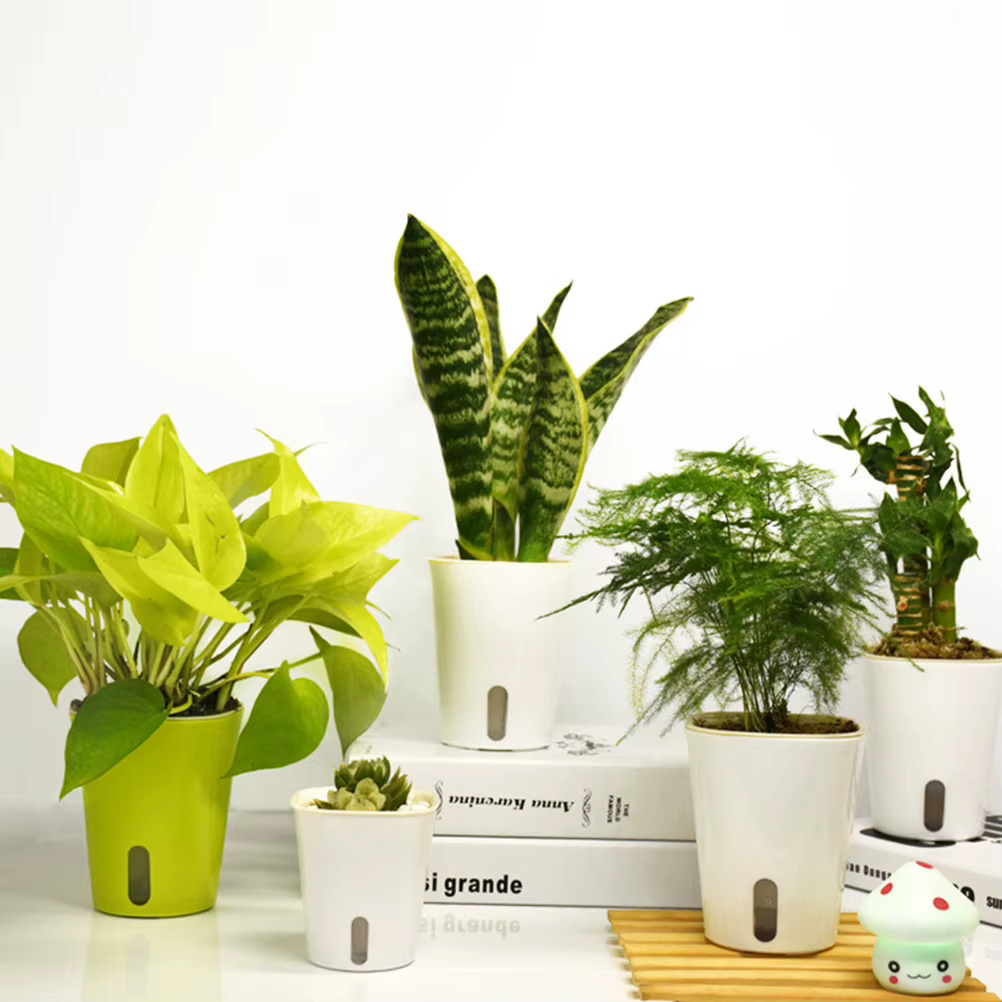 Jardinière auto-arrosante 23 cm