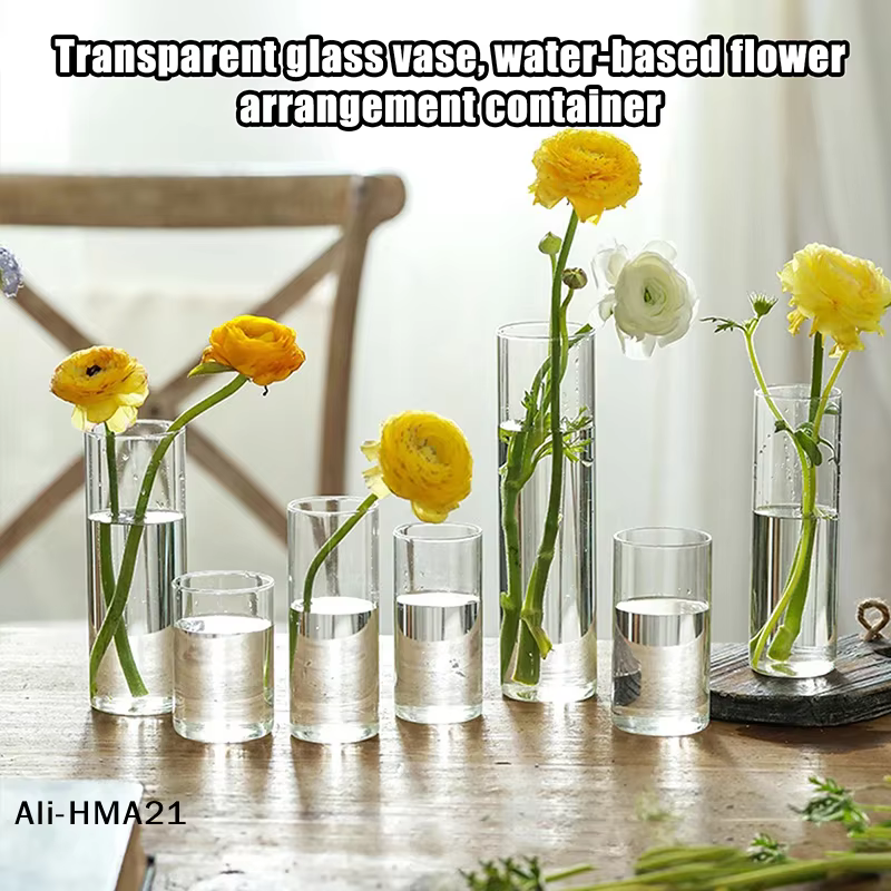 【H】Vase en verre pour plantes hydroponiques
