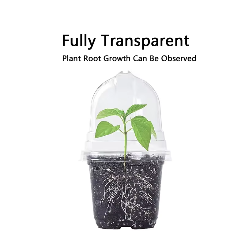 Pots transparents pour pépinière de plantes en PET avec couvercles