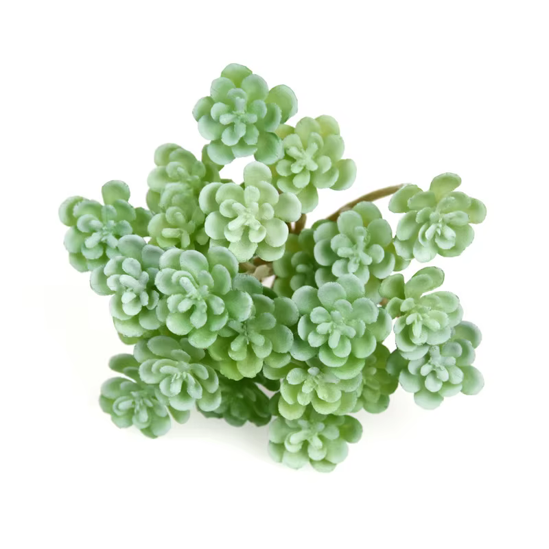 12 Pièces de Plantes Succulentes Artificielles Vertes
