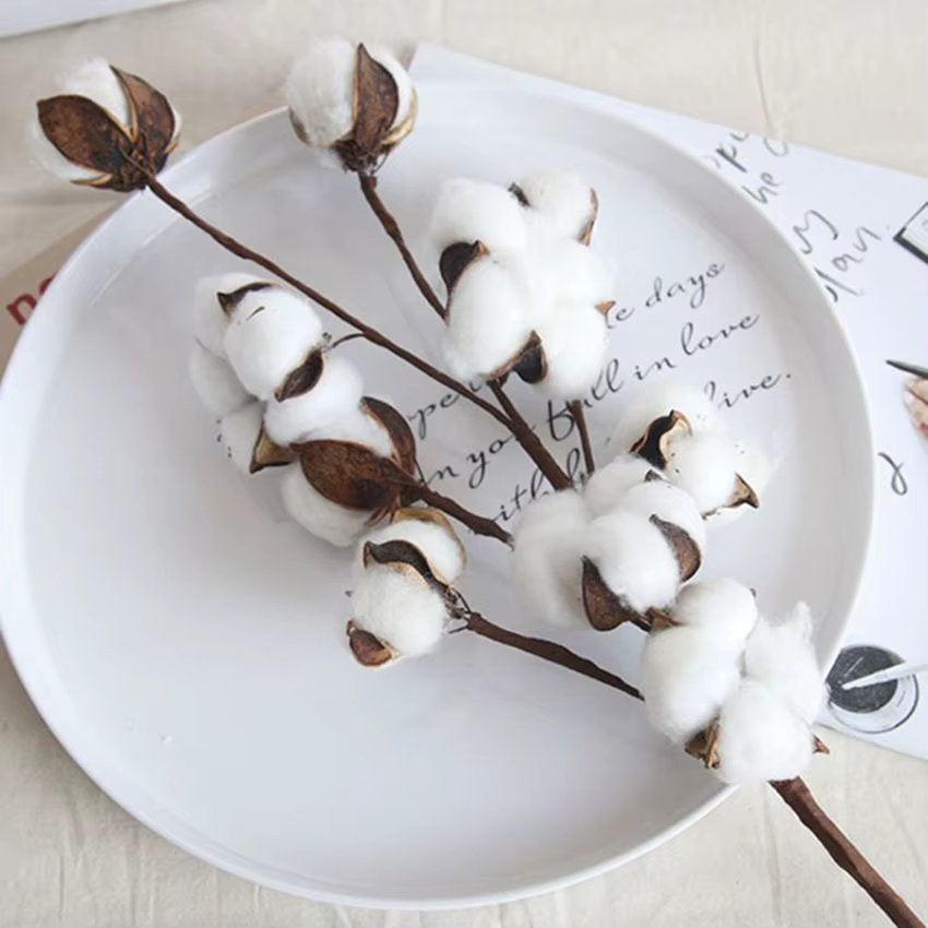 Plantes artificielles en coton naturel