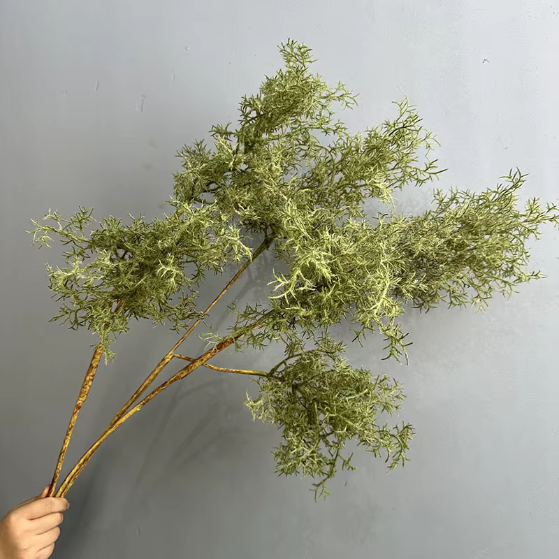 Plantes vertes enrichies de brume artificielle