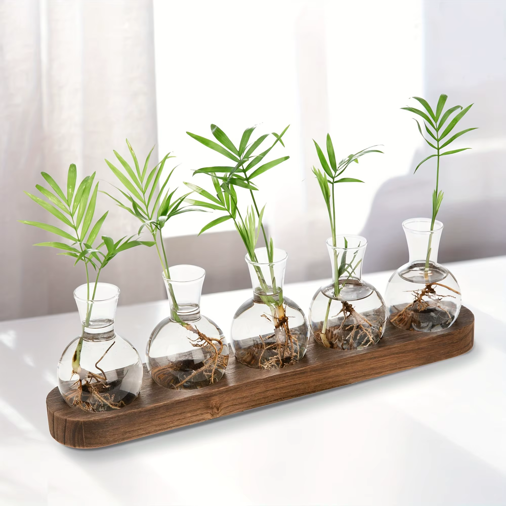 Terrarium de plantes en verre moderne avec plateau en bois – Vase hydroponique pour station de propagation intérieure
