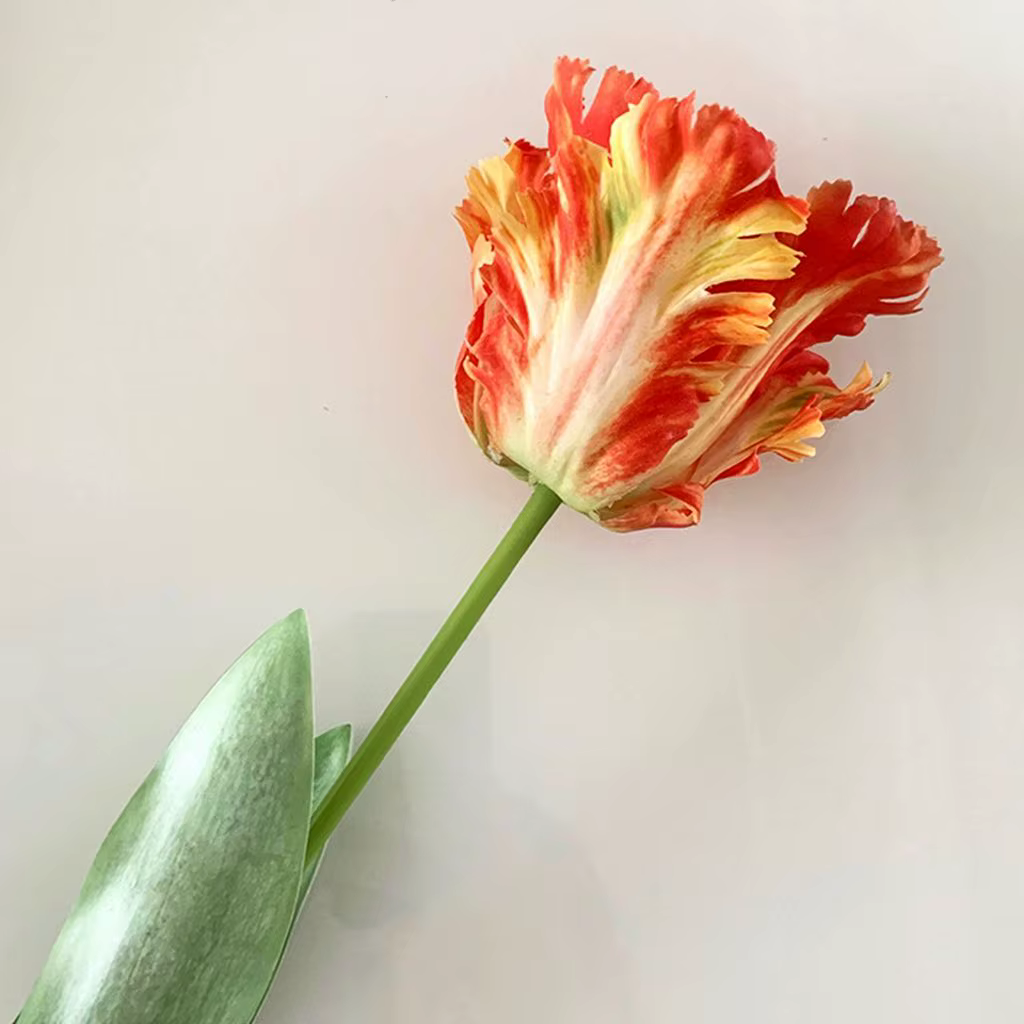 Fleur pour la maison, les fêtes