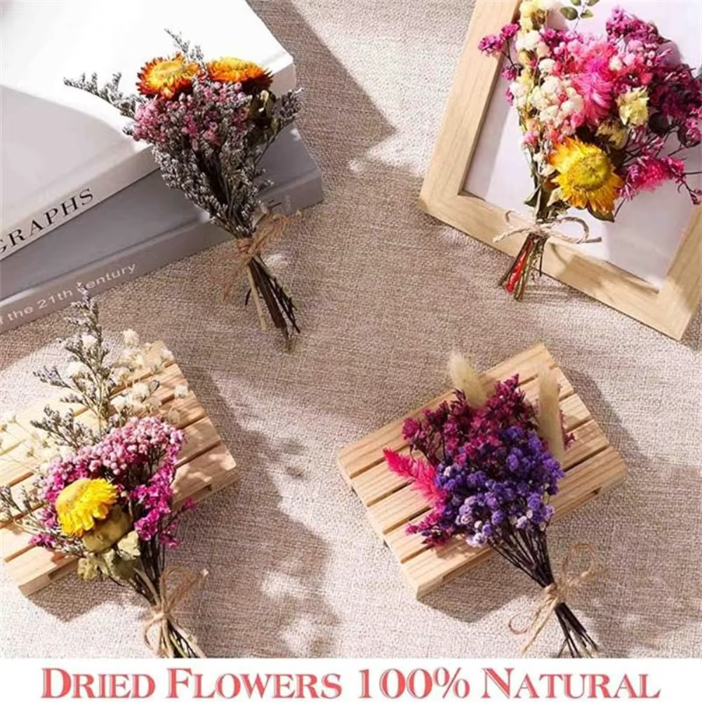 Boîte de matériaux floraux séchés en vrac pour l'artisanat