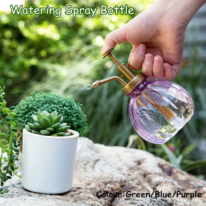 Arrosoir de jardin en verre pour plantes et fleurs