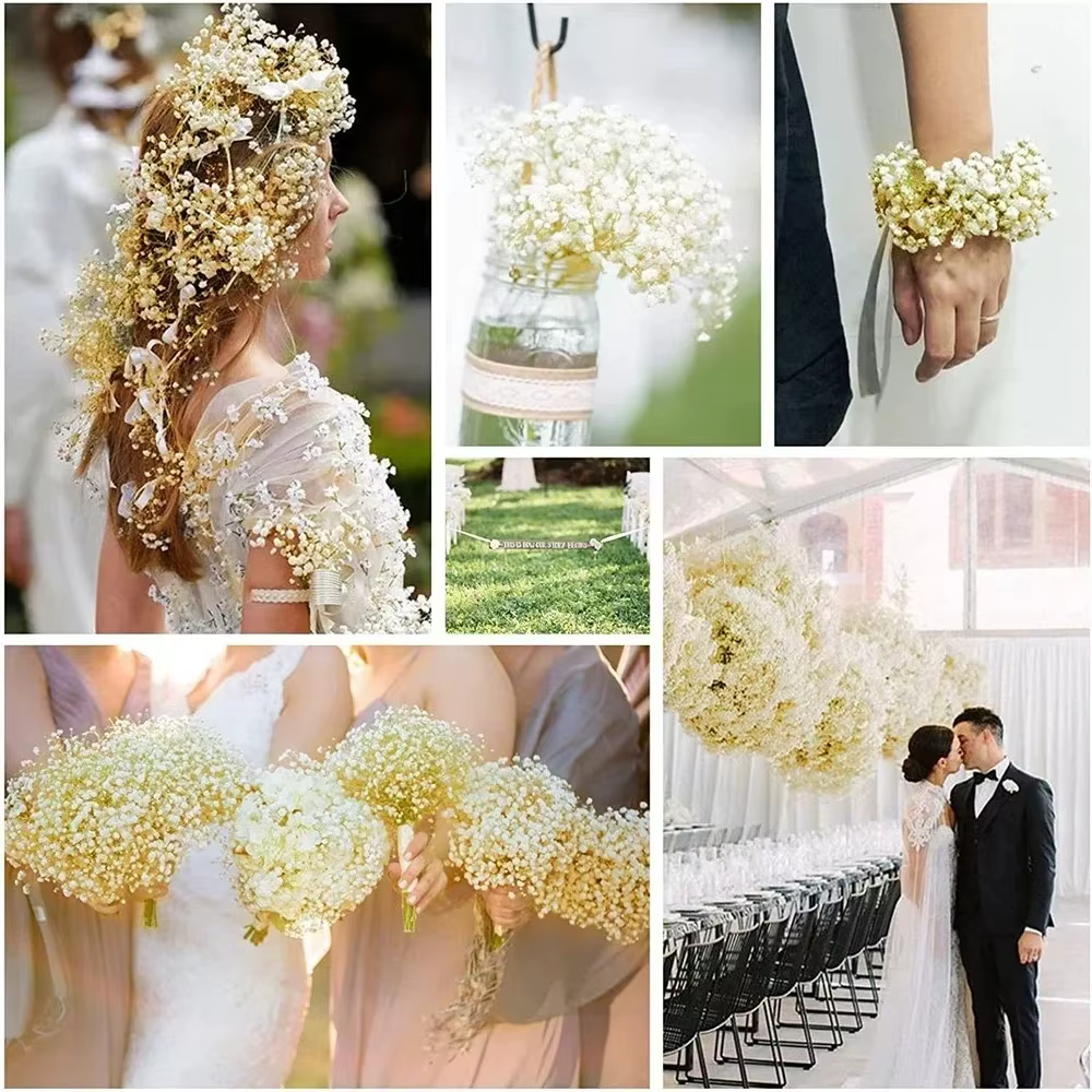 Bouquet de fleurs séchées pour bébé