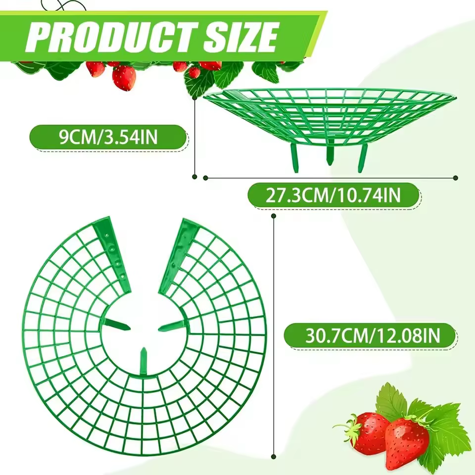 Supports pour plantes à fraises