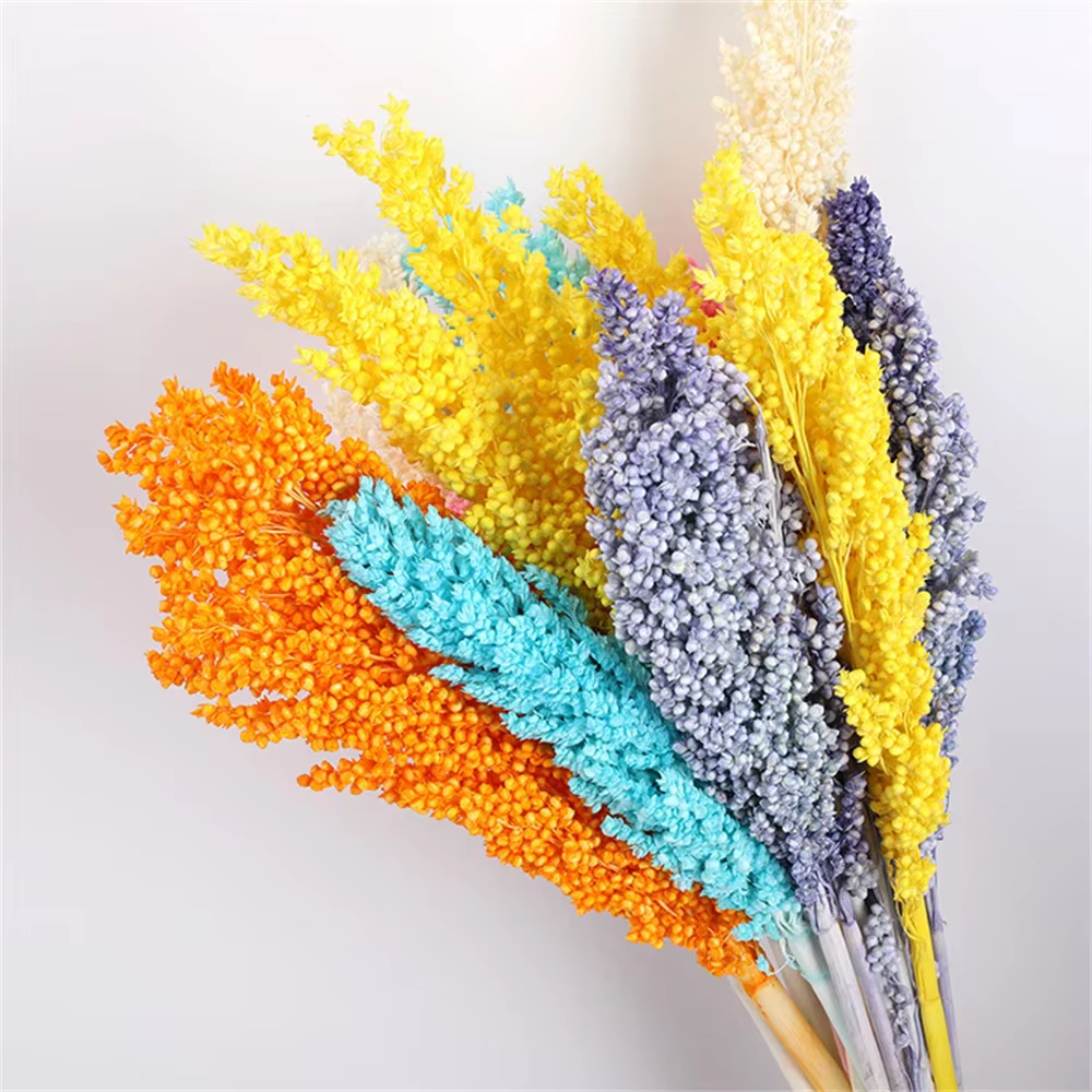 Bouquet de fleurs séchées éternelles