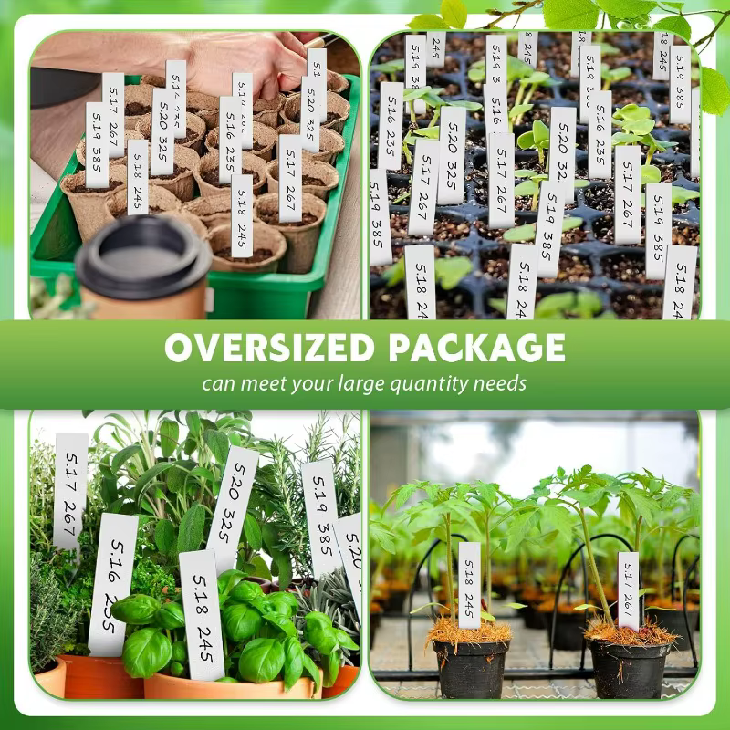 Étiquettes de plantes en plastique 100/300x
