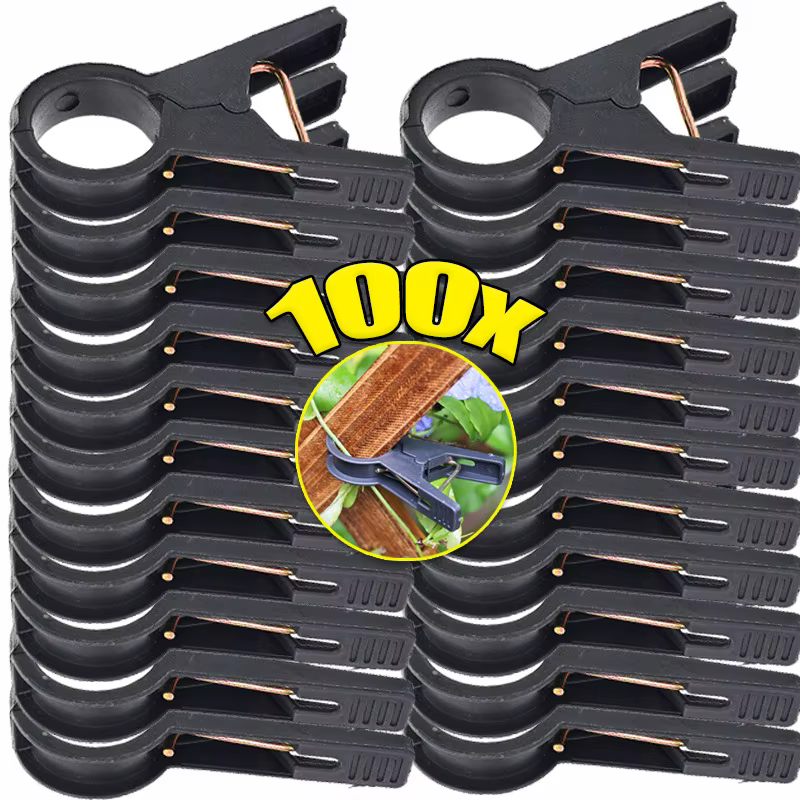 Clips de Support pour plantes