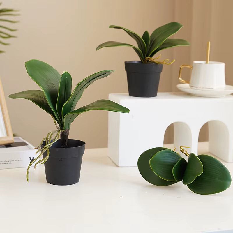 Plantes artificielles, feuilles de Phalaenopsis