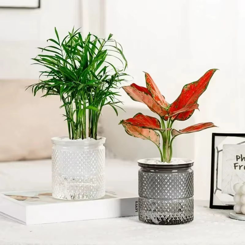 6 pots auto-arrosants, mini pots ronds pour plantes succulentes