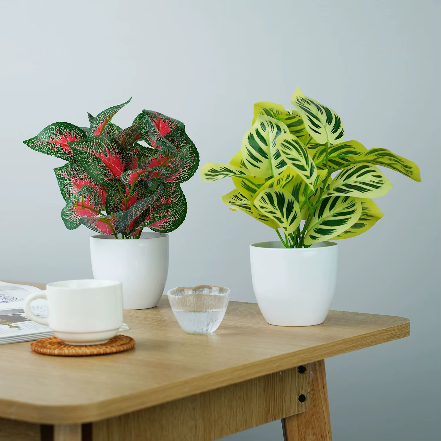 Plantes vertes artificielles bonsaï