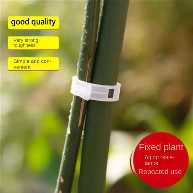 Clips de Soutien Réutilisables en Plastique pour Plantes