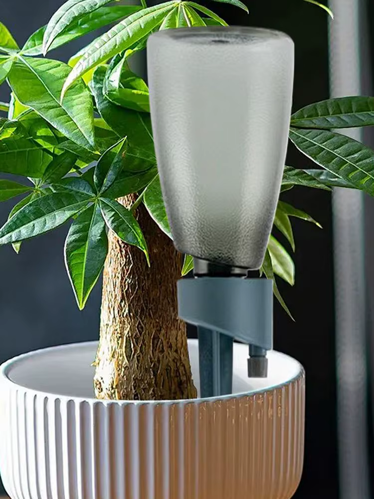 6 pièces Distributeurs d'eau automatiques pour plantes