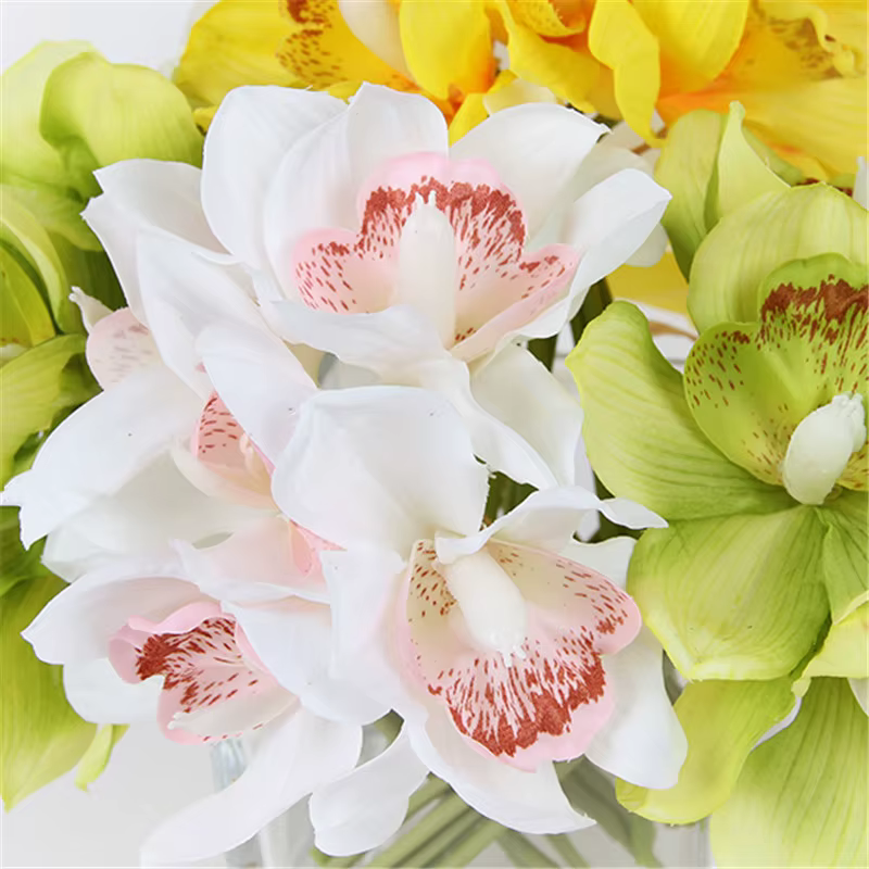 Simulation de fleur Cymbidium