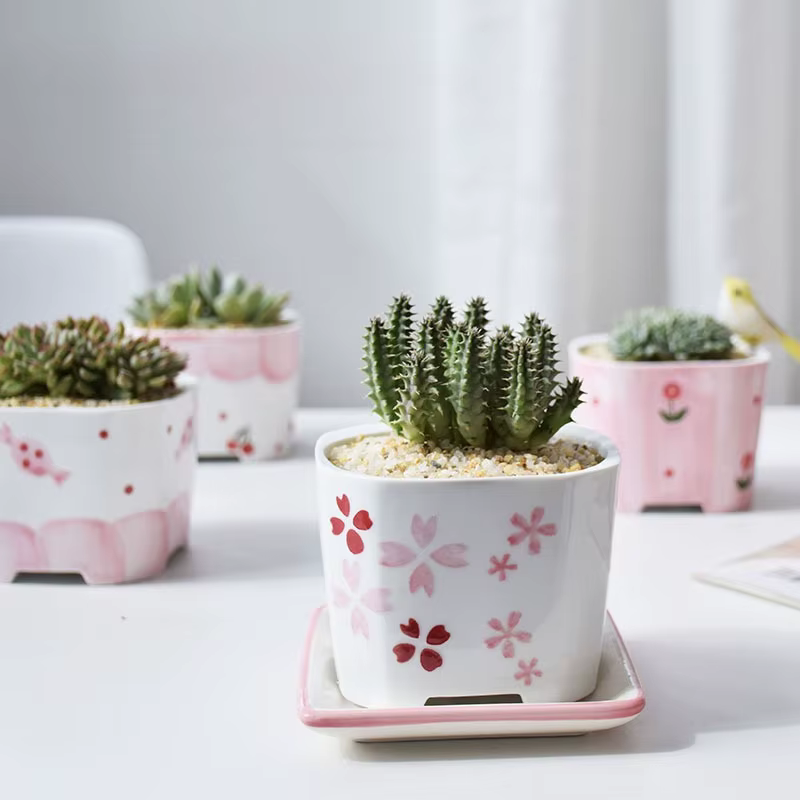 Pot de fleurs succulentes carré en céramique peint à la main pour fille rose