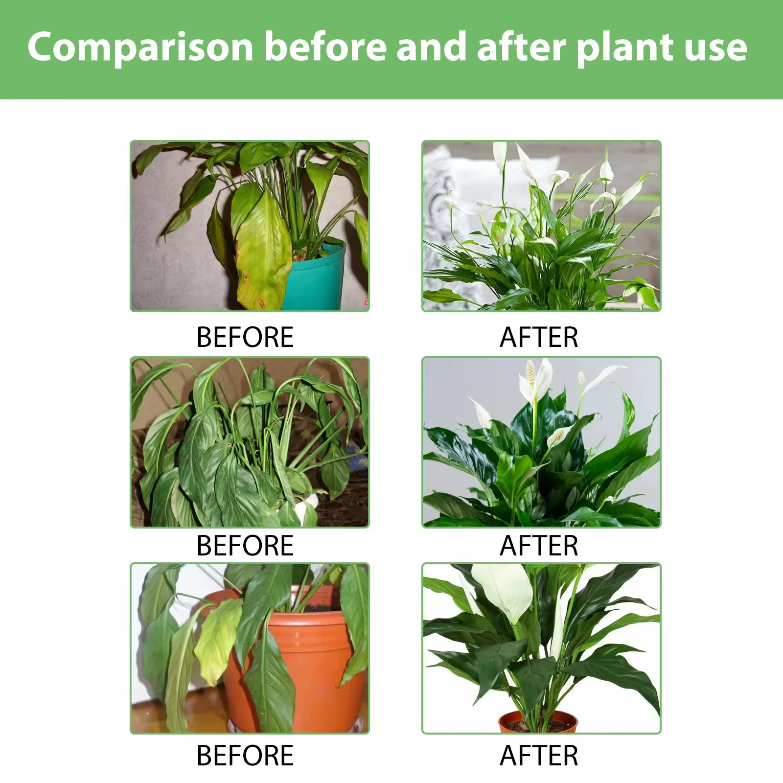 Engrais liquide pour plantes de jardin hydroponiques