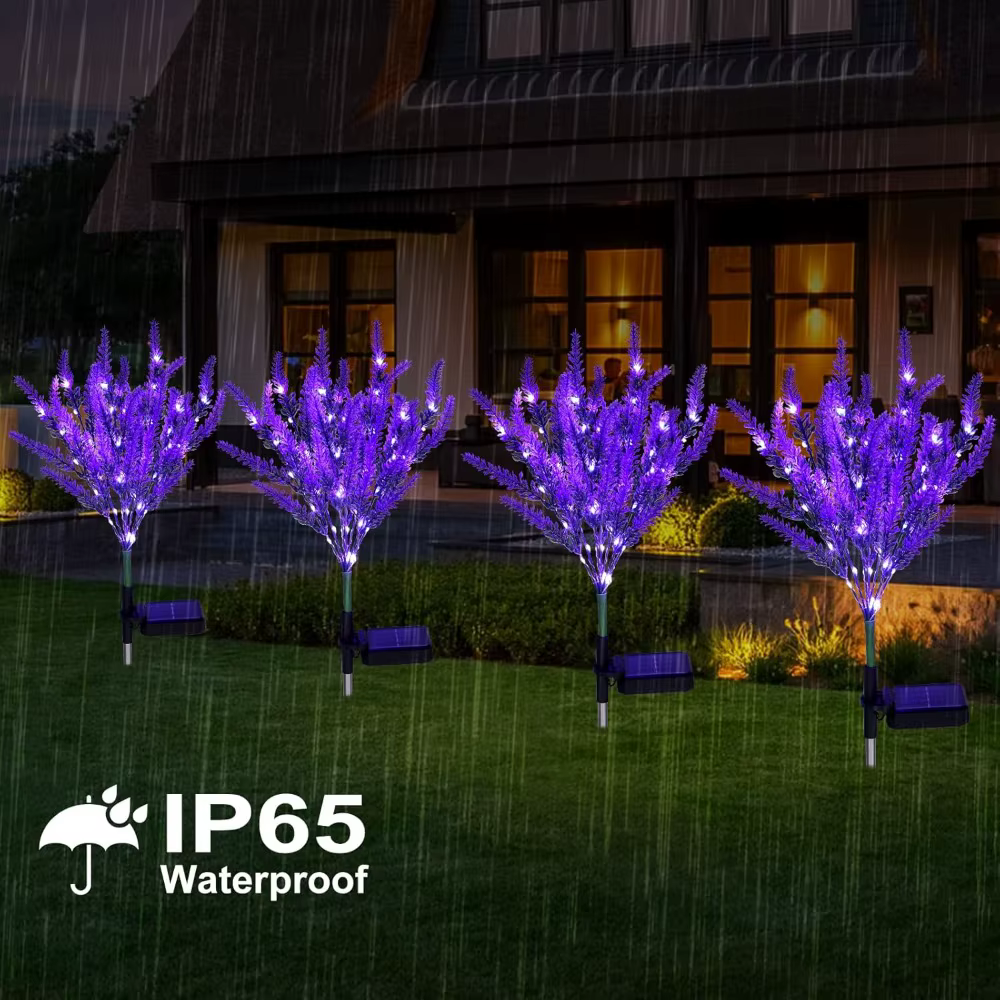 Décoration de jardin, pelouse