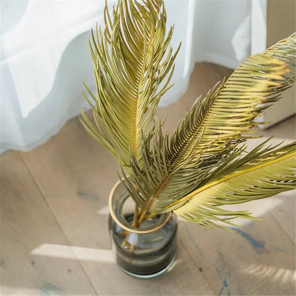 Branche de Sago Cycas de plantes naturelles séchées