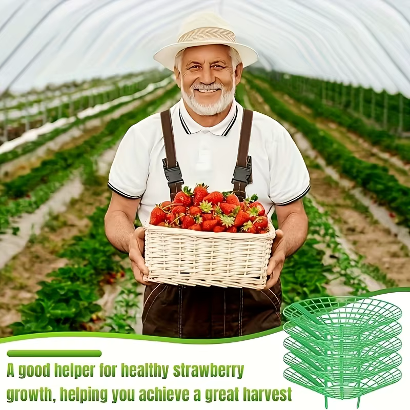 Lot de 12 supports de plantation pour fraises vertes