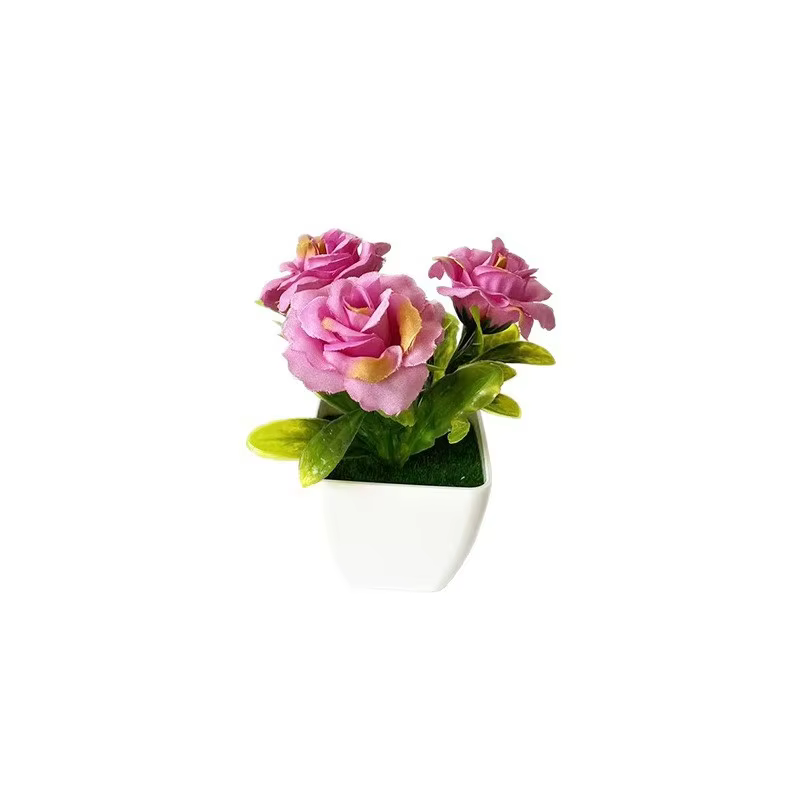 Mini plante en pot avec 3 roses