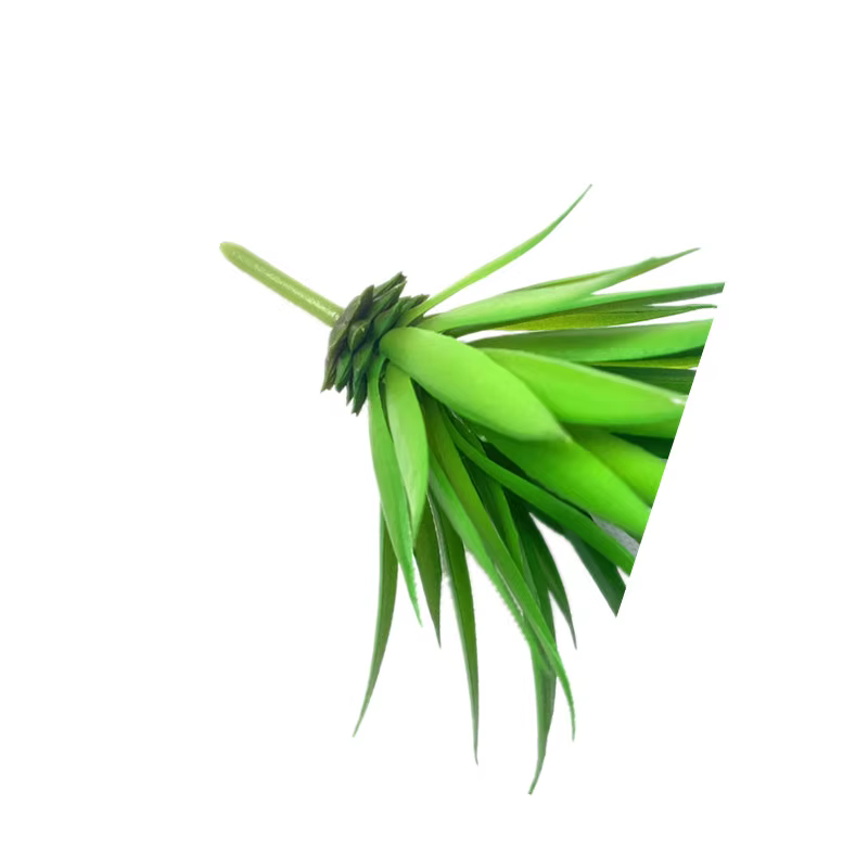 2 plantes artificielles