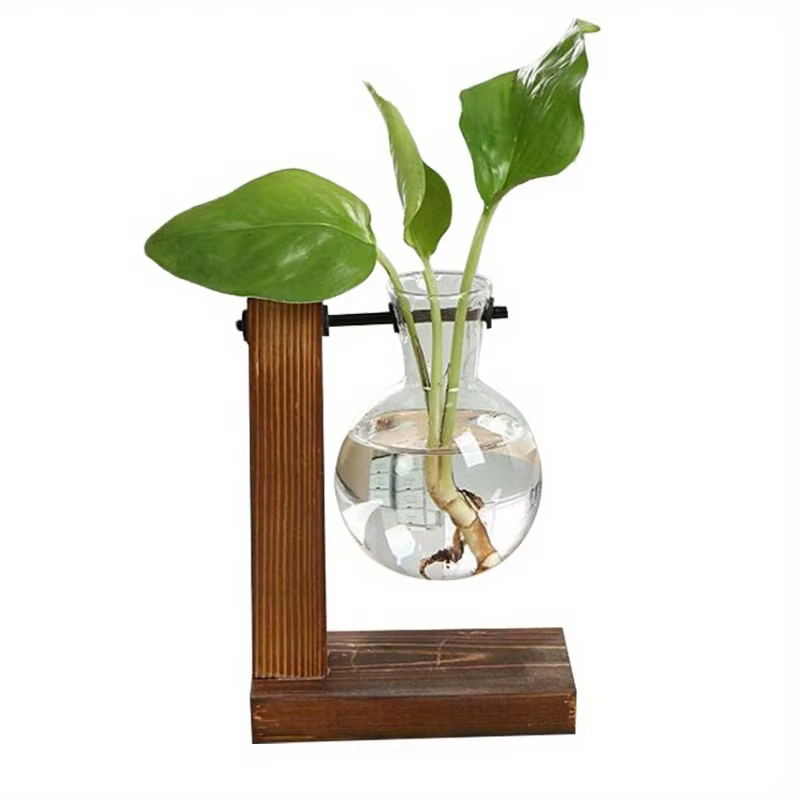 Vases à plantes hydroponiques