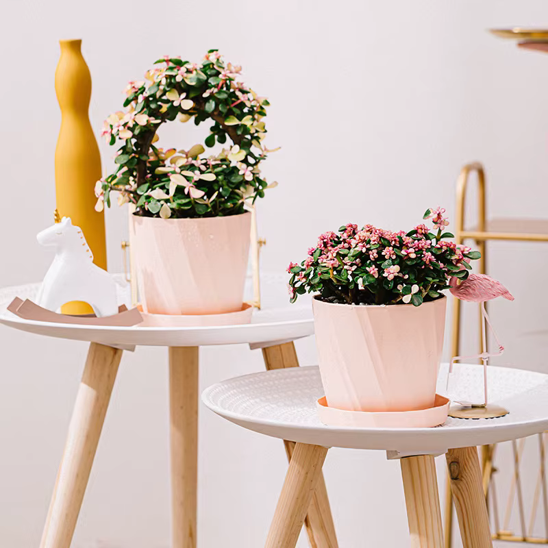 Grand Pot de fleur en plastique en résine pour plantes succulentes et vertes