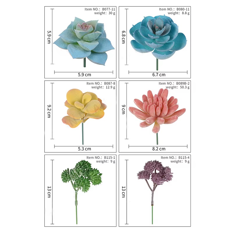 Plantes succulentes artificielles sans pot